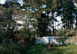 Дом 60м², 2-этажный, участок 6 сот.