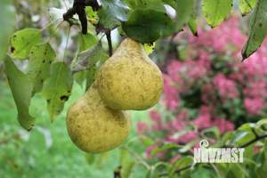 Дом 25м², 1-этажный, участок 6 сот.