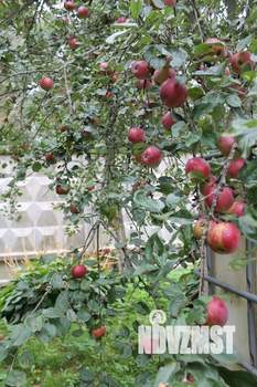 Дом 25м², 1-этажный, участок 6 сот.