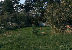 Дом 60м², 2-этажный, участок 6 сот.