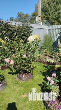 Дом 25м², 1-этажный, участок 3 сот.