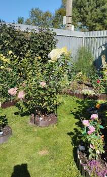 Дом 25м², 2-этажный, участок 3 сот.