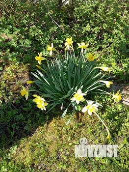 Дом 40м², 2-этажный, участок 8 сот.