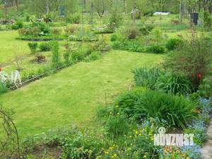 Дом 59м², 2-этажный, участок 11 сот.