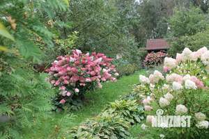 Дом 25м², 1-этажный, участок 6 сот.  