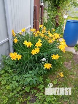 Дом 40м², 2-этажный, участок 8 сот.  