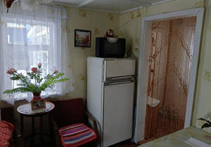 Дом 40м&sup2;, 2-этажный, участок 4 сот.  