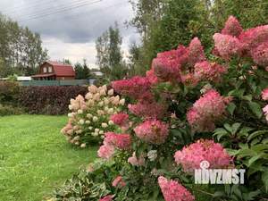 Дом 25м², 1-этажный, участок 6 сот.  