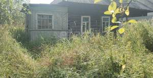 Дом 56м², 1-этажный, участок 7 сот.  