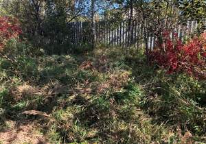 Дом 56м², 1-этажный, участок 7 сот.  