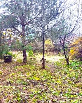 Дом 28м&sup2;, 2-этажный, участок 4 сот.  