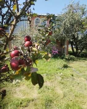 Дом 45м², 2-этажный, участок 4 сот.  