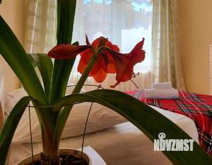 2-к квартира, посуточно, 68м2, 1/1 этаж