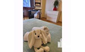 1-к квартира, посуточно, 50м2, 1/1 этаж