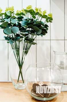 Студия квартира, посуточно, 14м2, 1/5 этаж