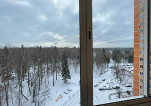 1-к квартира, на длительный срок, 45м2, 9/17 этаж