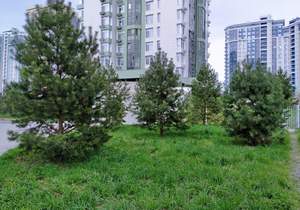 4-к квартира, вторичка, 101м2, 5/20 этаж