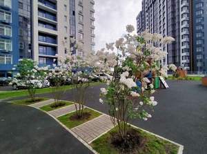3-к квартира, вторичка, 79м2, 19/20 этаж